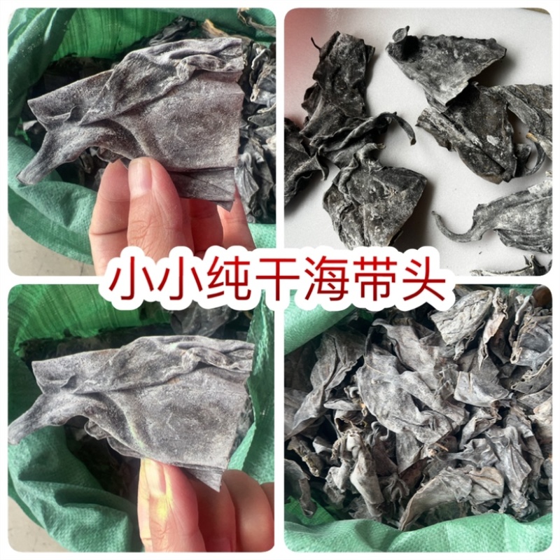 小小纯干海带头地摊电商批发厚霞浦海带批发盐盐渍海带头干