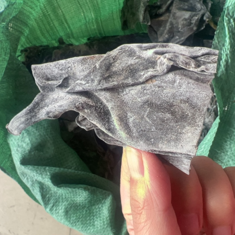 小小纯干海带头地摊电商批发厚霞浦海带批发盐盐渍海带头干