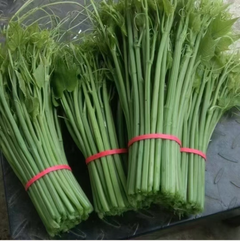 龙须菜，佛手瓜尖