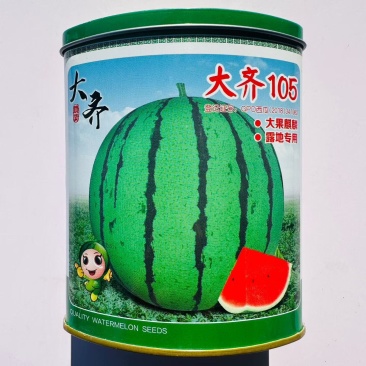 无子西瓜种籽特大红瓤黑皮红肉超黑皮无籽西瓜种子新鲜西瓜籽