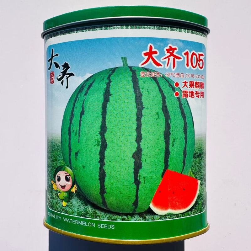 无子西瓜种籽特大红瓤黑皮红肉超黑皮无籽西瓜种子新鲜西瓜籽