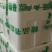 山东泰安精品大叶香菜，货量足，品质佳欢迎咨询