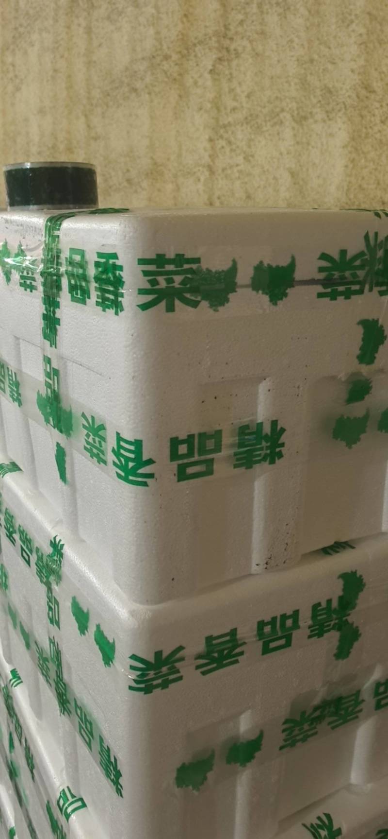 山东泰安精品大叶香菜，货量足，品质佳欢迎咨询
