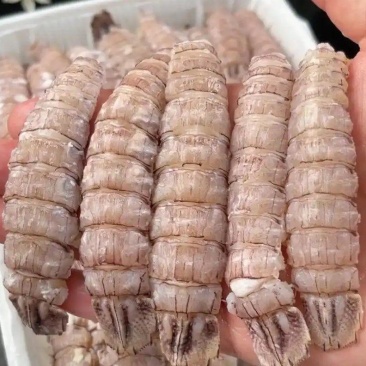 精品皮皮虾肉免剥壳，肉质Q弹鲜美，餐饮电商可用