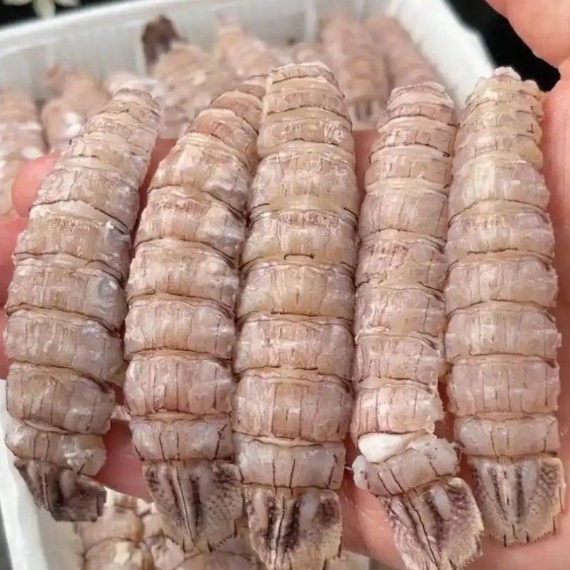 精品皮皮虾肉免剥壳，肉质Q弹鲜美，餐饮电商可用