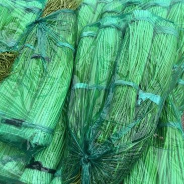 精品蒜苔