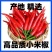 优质精品小米椒今日特价电商超市加工厂各大批发市场直供联系