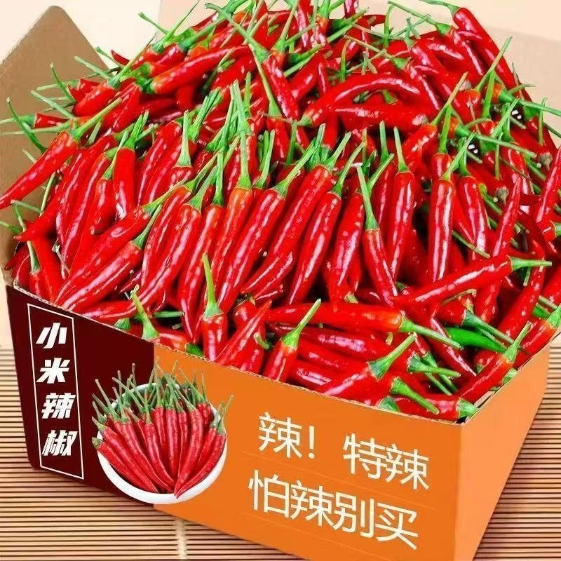 精品小米红尖椒电商货超市加工厂各大市场品质有保障需要联系