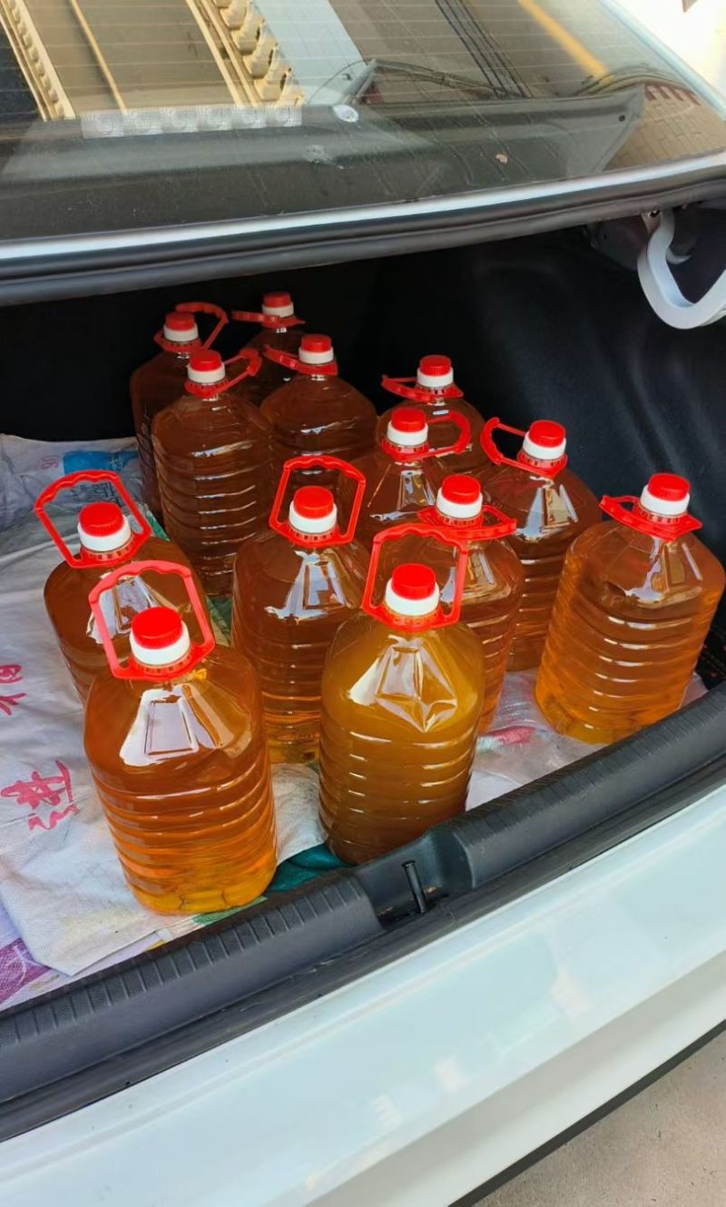 正宗山茶油