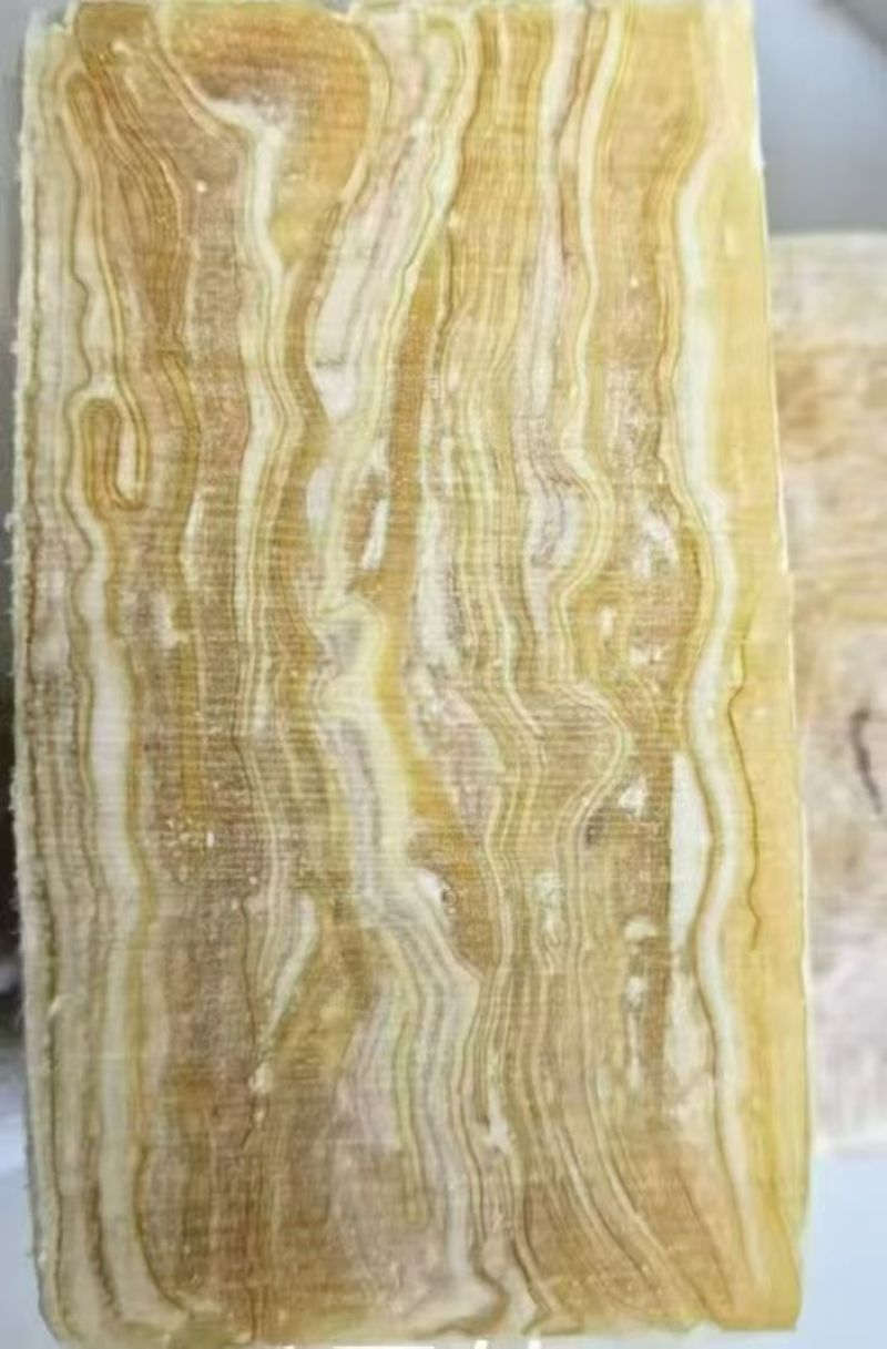 烧烤**千层筋山东腾惠将成为更多客户的选择