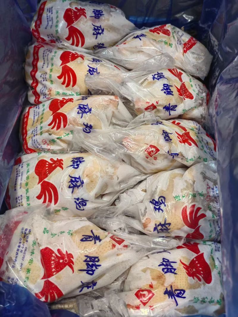 麻母鸡