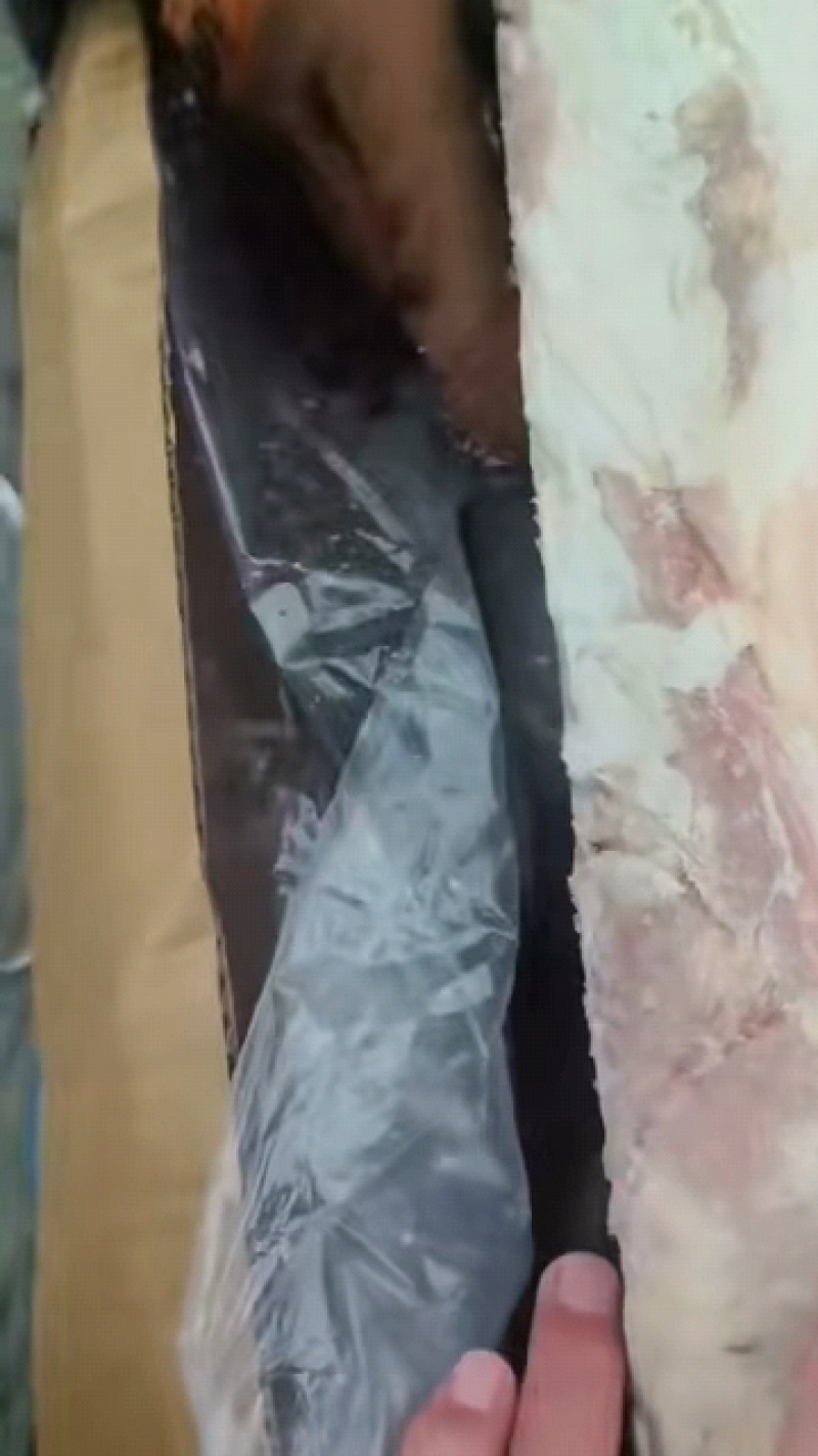 带皮前上肉