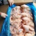 二级三黄鸡