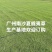 夏威夷草卷