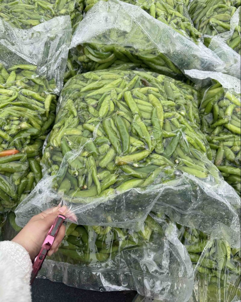 腌制辣椒厂家直销，山东辣椒，规格齐全，对接批发商市场商超