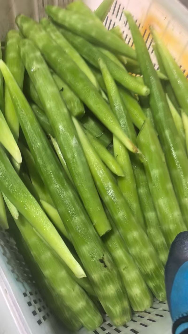 去皮莴笋肉莴笋杆真空包装莴笋杆去皮莴苣肉