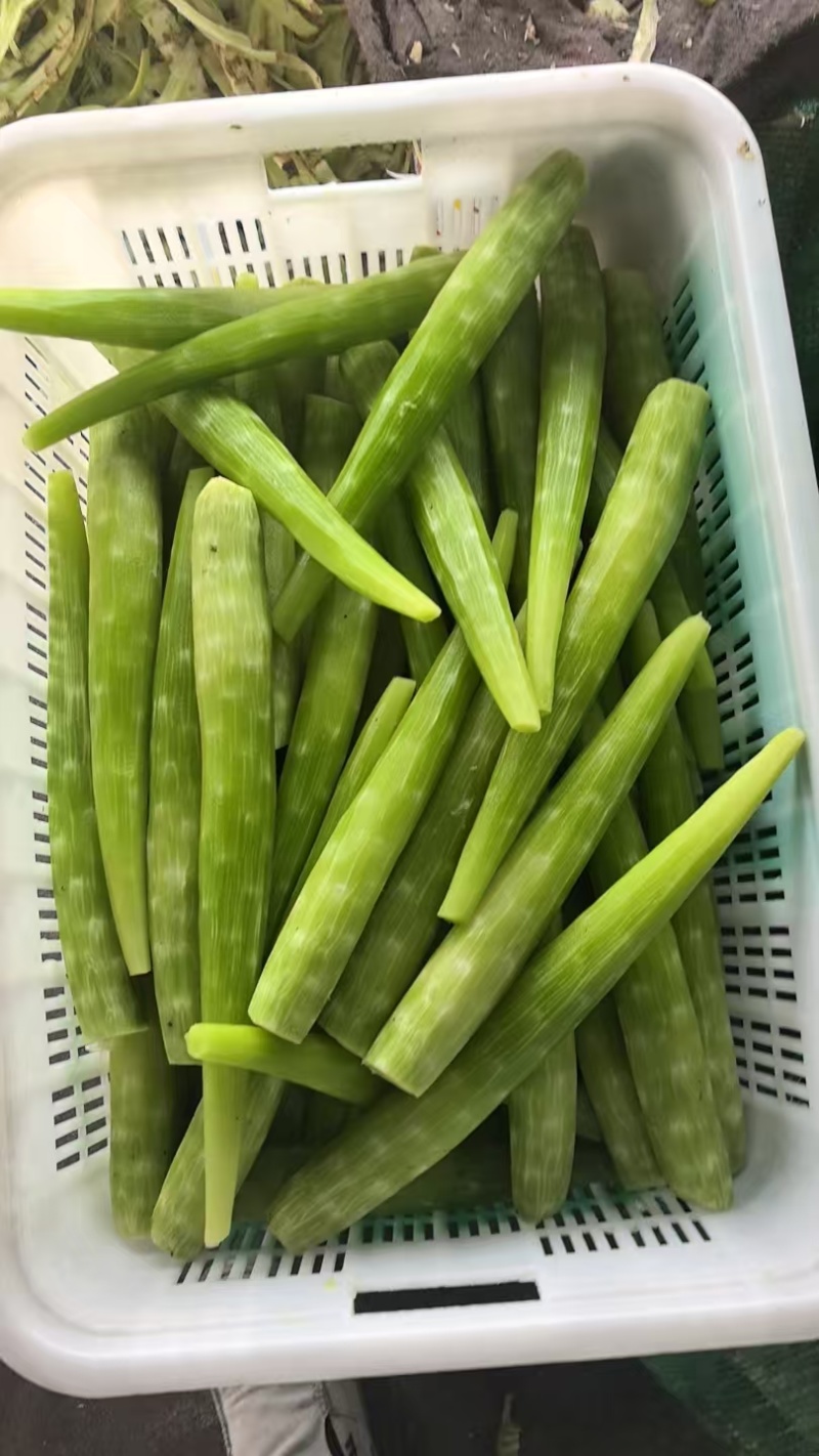 去皮莴笋肉莴笋杆真空包装莴笋杆去皮莴苣肉