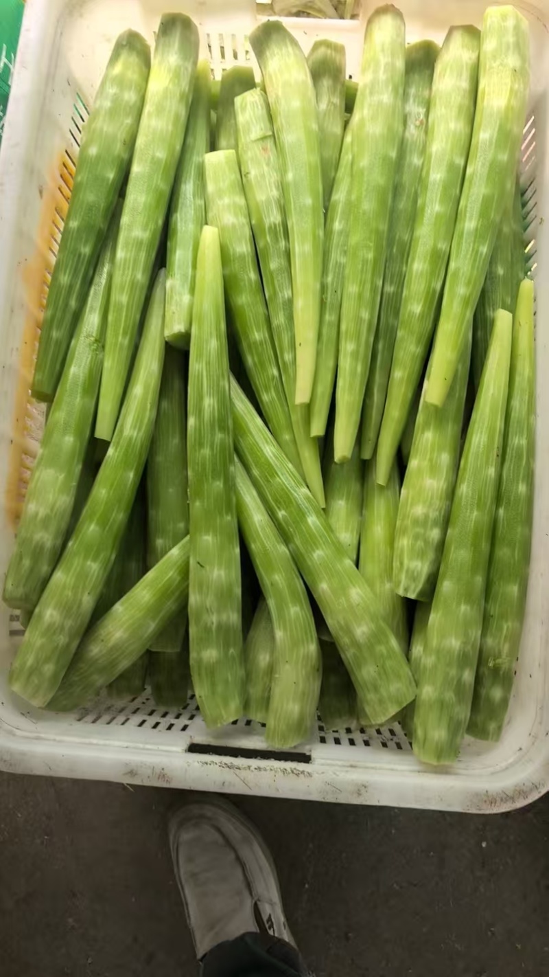 去皮莴笋肉莴笋杆真空包装莴笋杆去皮莴苣肉