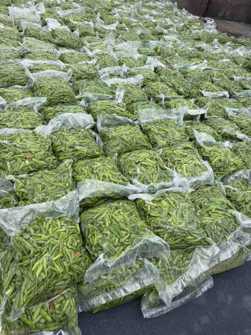 腌制辣椒厂家直销，山东辣椒，规格齐全，对接批发商市场商超