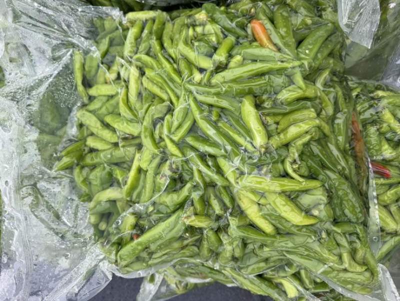 腌制辣椒厂家直销，山东辣椒，规格齐全，对接批发商市场商超