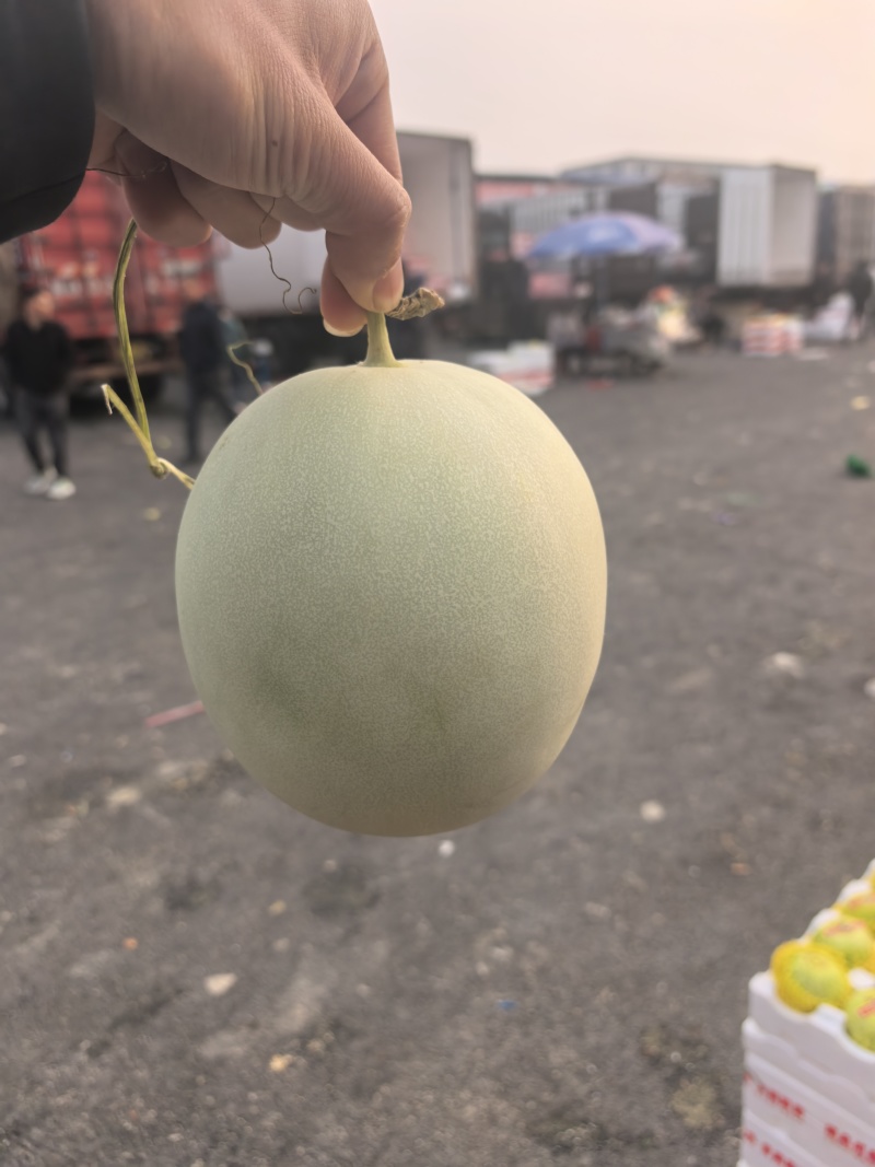 网红玉菇冰淇淋甜瓜一件代发产地直发