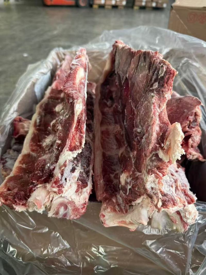 牛腰椎骨