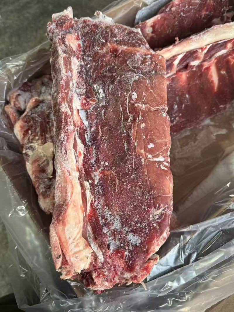 牛腰椎骨