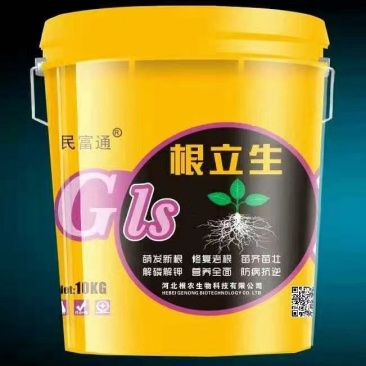 根立生生根养护枝叶状