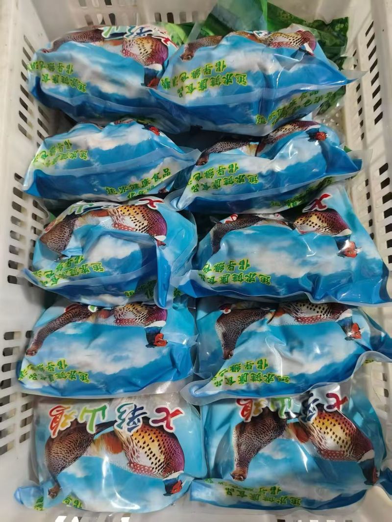 七彩山鸡老母鸡
