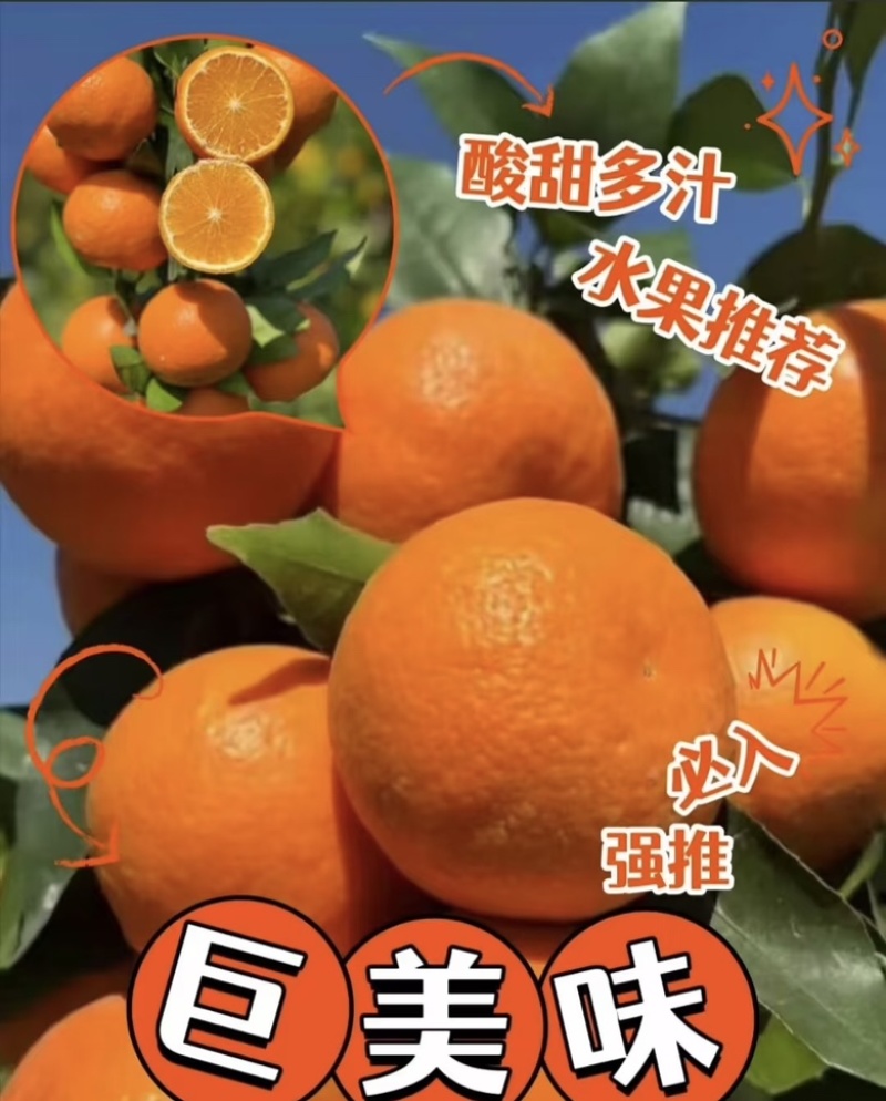【推荐】纯甜晚熟沃柑现摘现发产地发摘现发质量保证欢迎来电