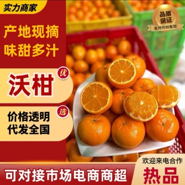 【推荐】纯甜晚熟沃柑现摘现发产地发摘现发质量保证欢迎来电