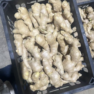 热卖欢迎预订