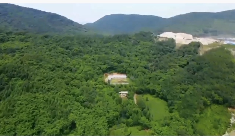 出租、转让林地