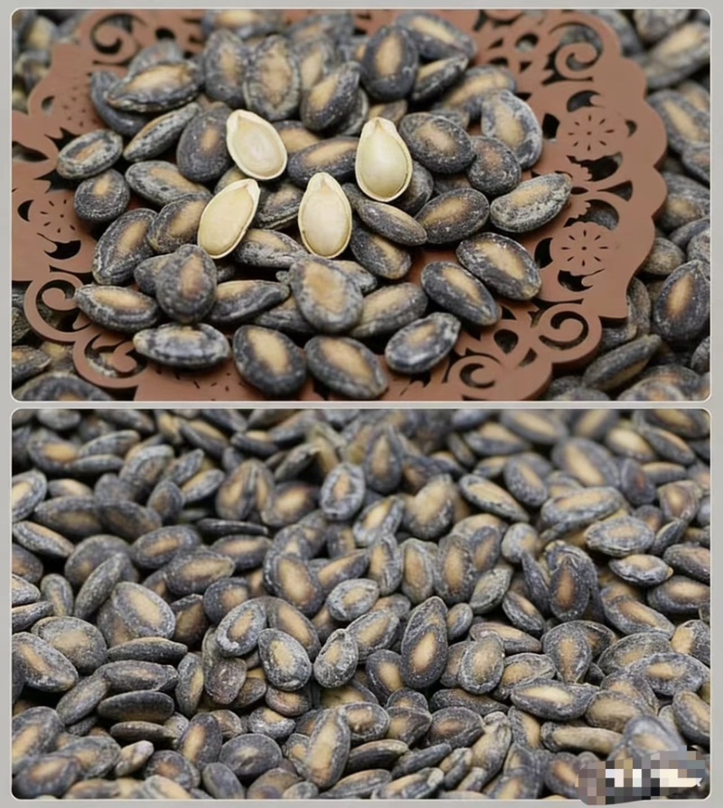西瓜子话梅味盐味大量现货