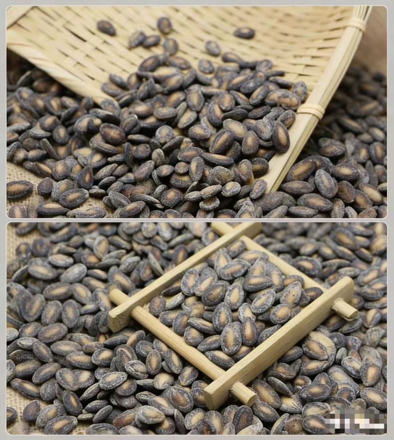 西瓜子话梅味盐味大量现货
