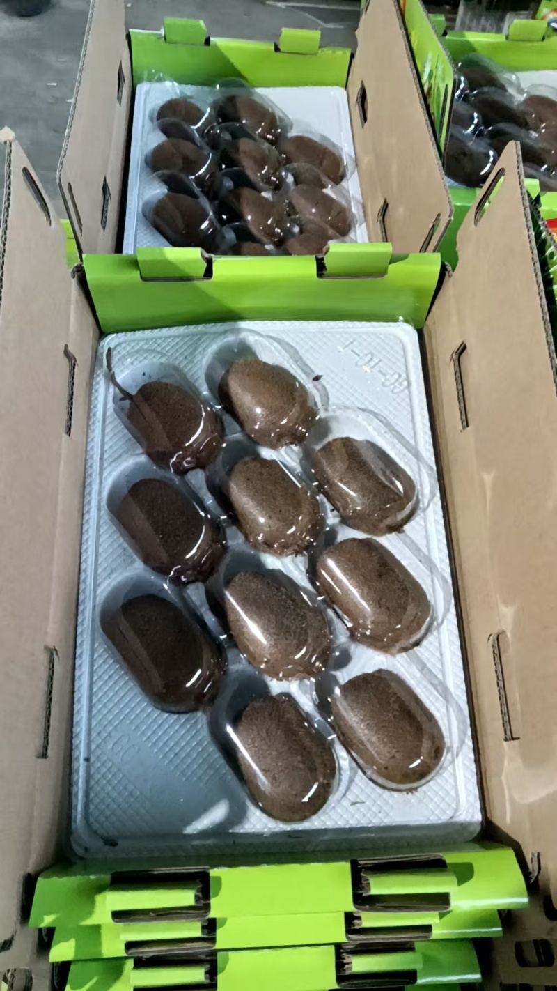 陕西眉县徐香弥猴桃
