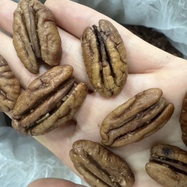 碧根果仁奶香味现货