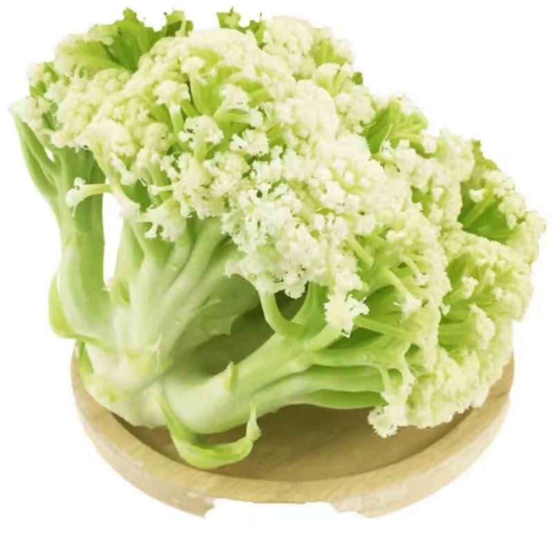 山东精品有机散花菜花松花菜基地大量供应量大从优基地直发货
