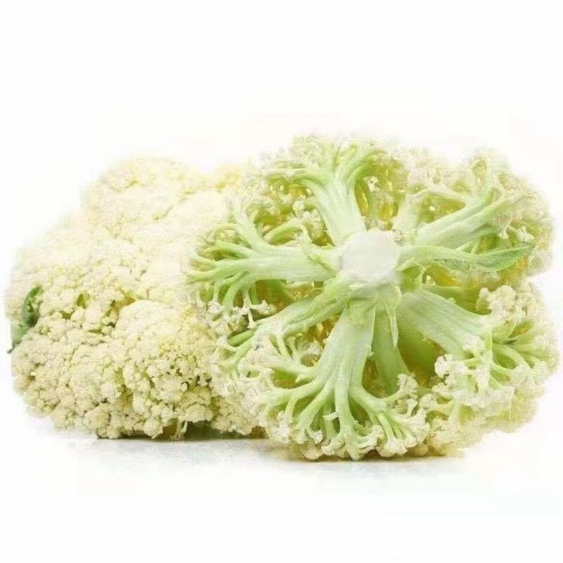 山东精品有机散花菜花松花菜基地大量供应量大从优基地直发货