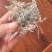 霉茶