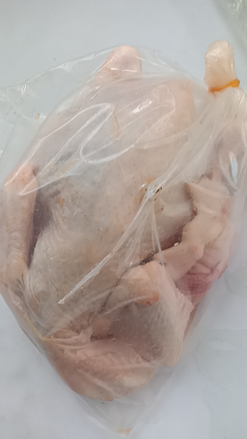 半膛老母鸡
