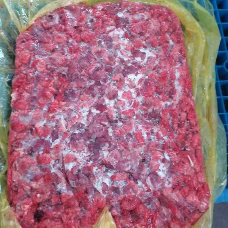 鸡肺