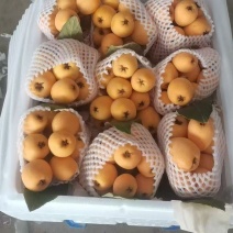 枇杷