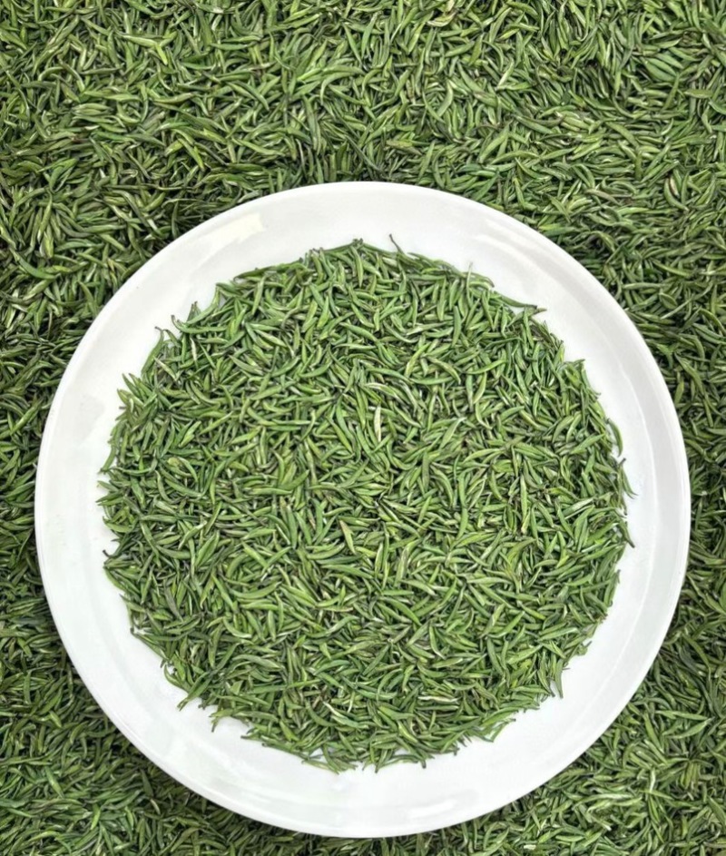 江山绿牡丹茶叶明前龙井白茶