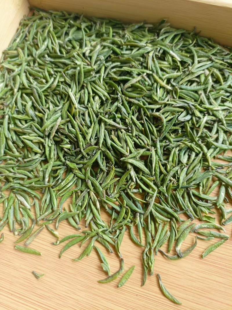 江山绿牡丹茶叶明前龙井白茶