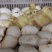 二年普三鹅苗