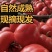 陕西泾阳普罗旺斯水果西红柿