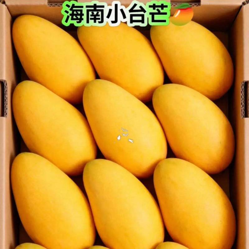 《包邮》广西百色小台芒基地直发保质保量现摘现发一件代发