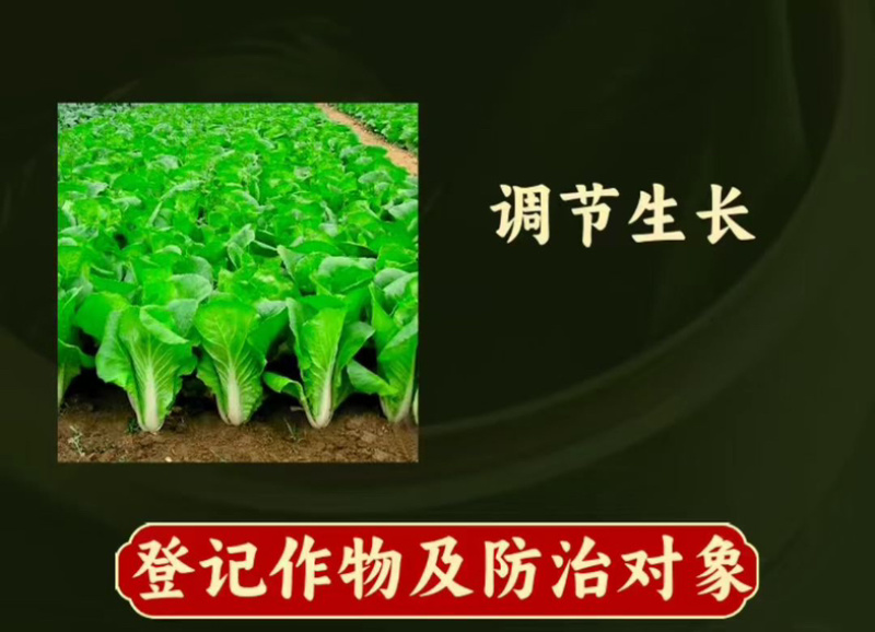 奥丰0.004%芸苔素14羟基芸苔素甾醇花粉天然活性高