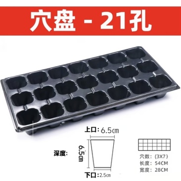 育苗穴盘21/32/50/72/105/128孔80克